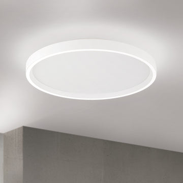 Licht-Kraus