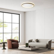 Deckenleuchte Loud PRO 24V in modernem Wohnzimmer