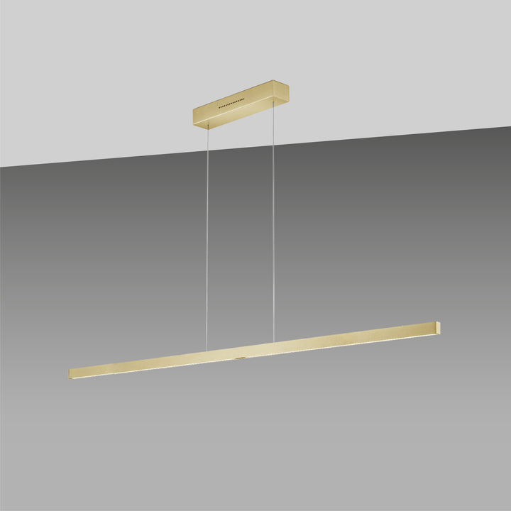 Linn pendant light with lift function