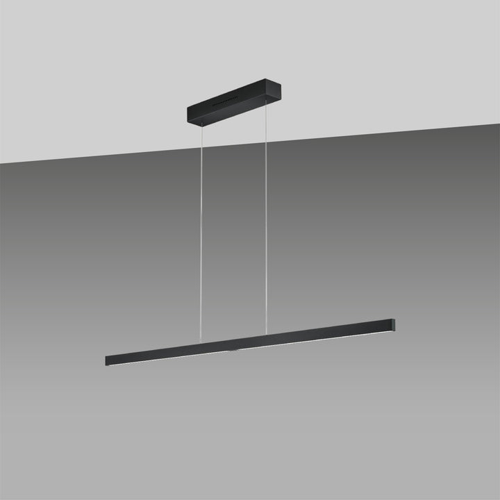 Linn pendant light with lift function