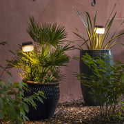 Solarleuchte Lolie im Garten