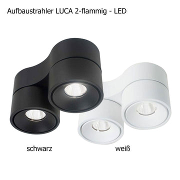 Licht-Kraus