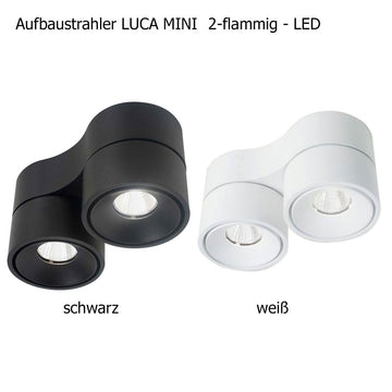 Licht-Kraus