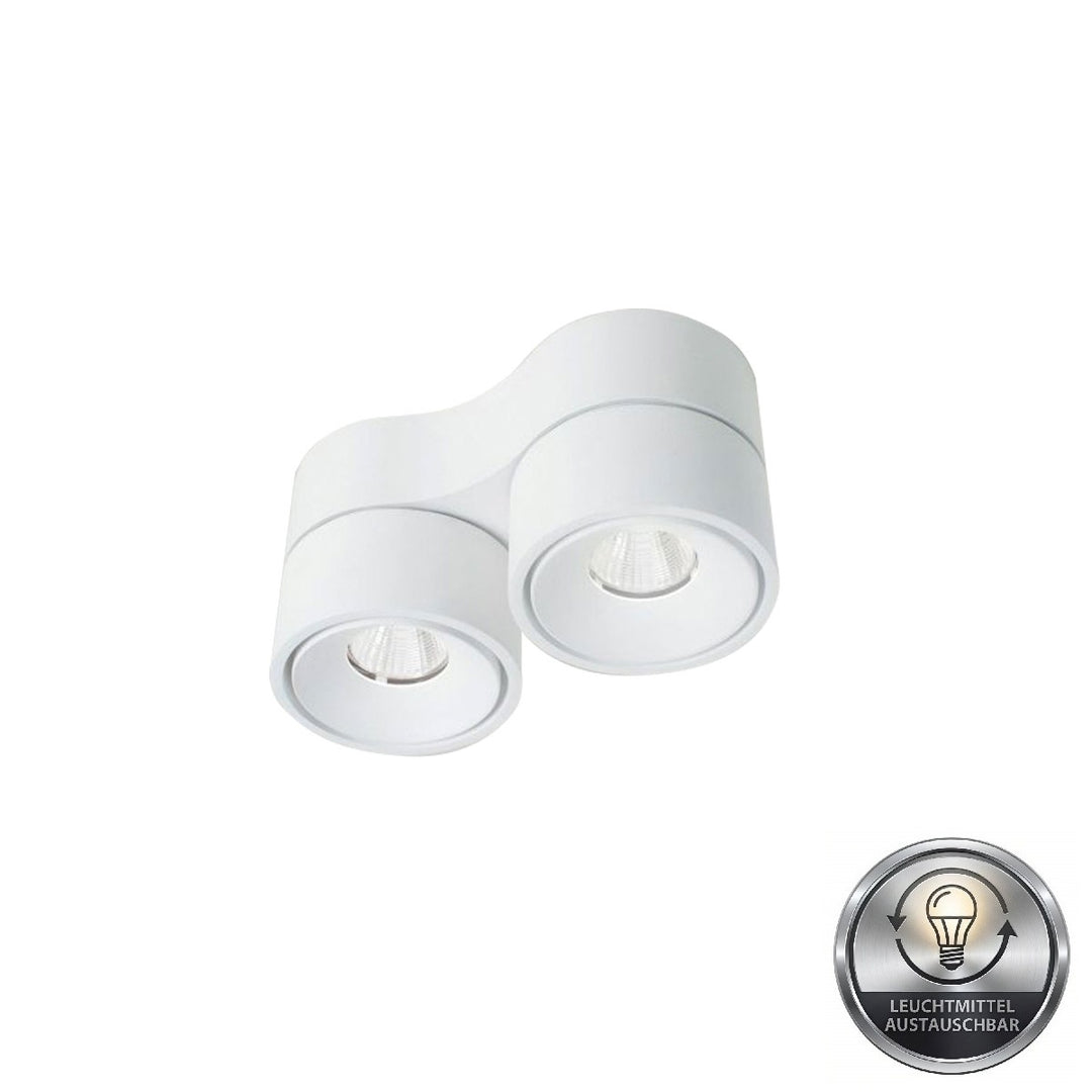 Luca Mini 2-light surface-mounted spotlight
