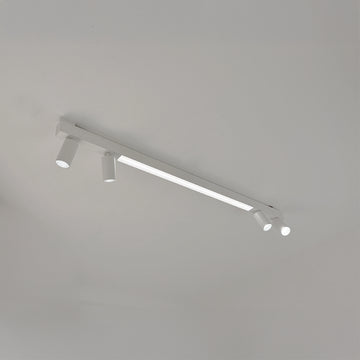 Licht-Kraus