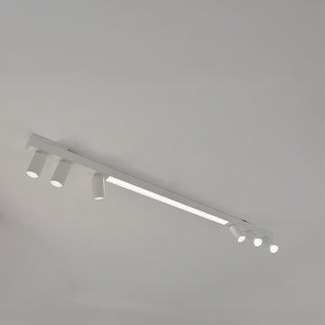Licht-Kraus
