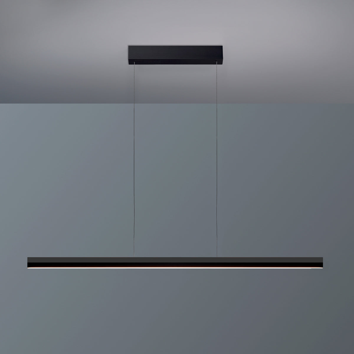Bopp, Pendelleuchte Smart Up-Down, 120cm Schwarz, moderne LED Beleuchtung