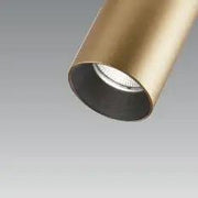DLS Lighting, 3-Phasen-Stromschienenstrahler Reed, Messing-Schwarz, hochwertige Akzentbeleuchtung