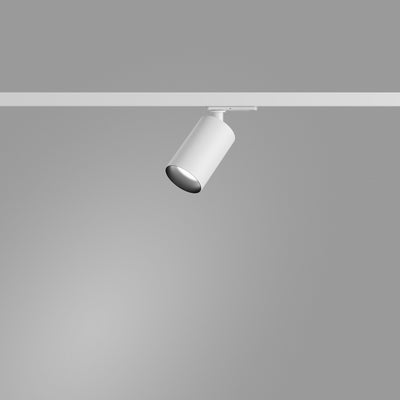 Licht-Kraus