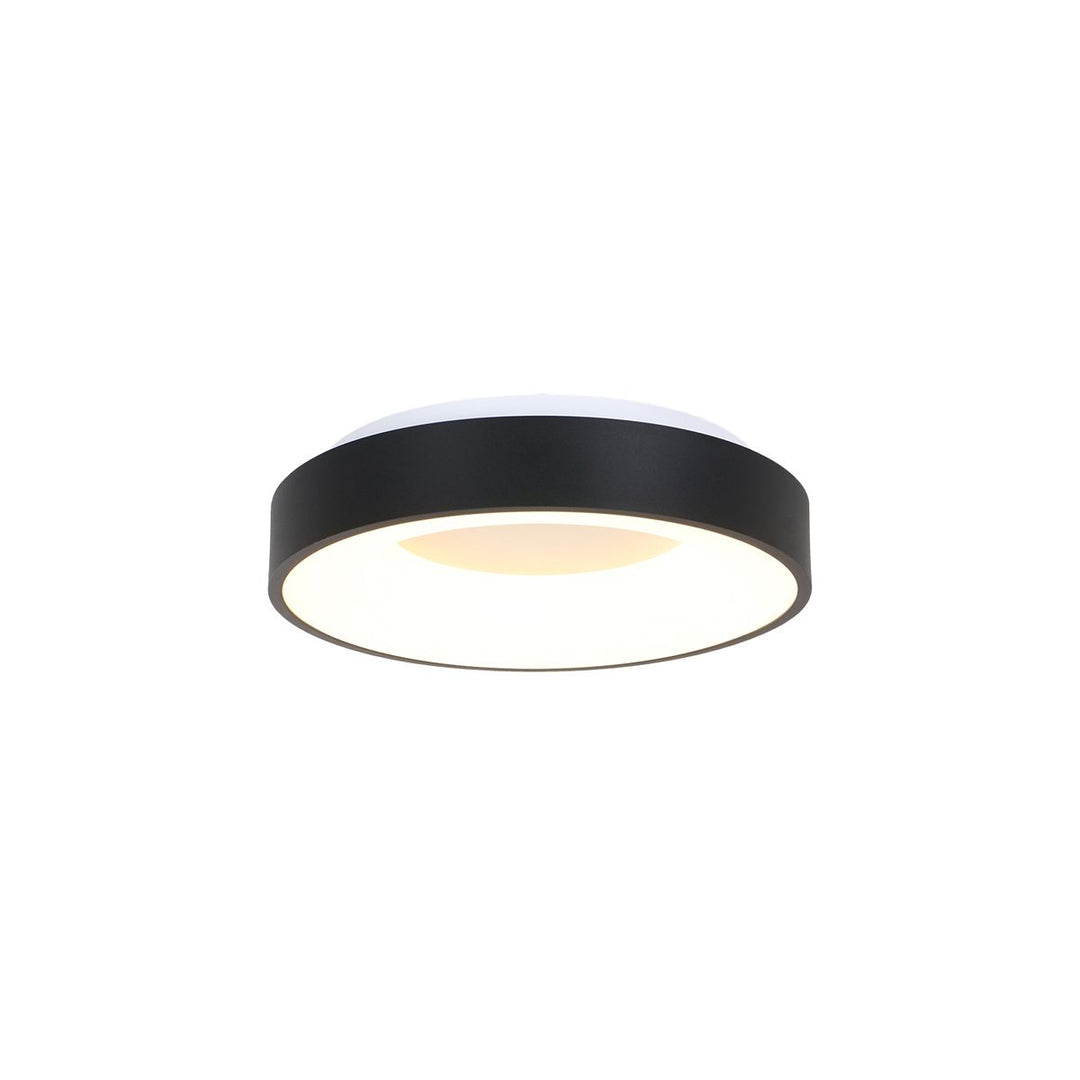 Teina ceiling light