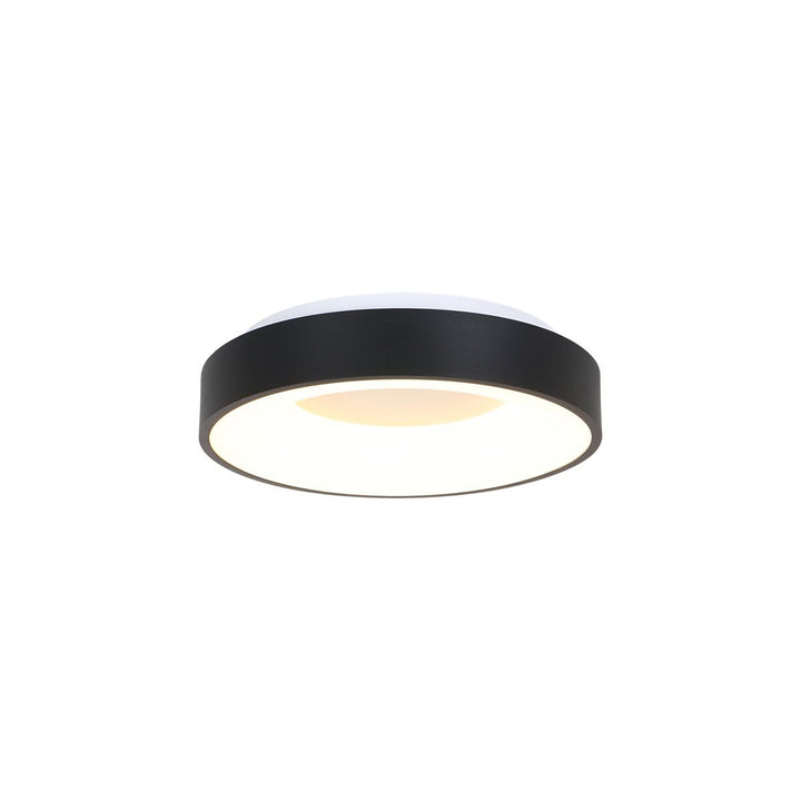 Teina ceiling light