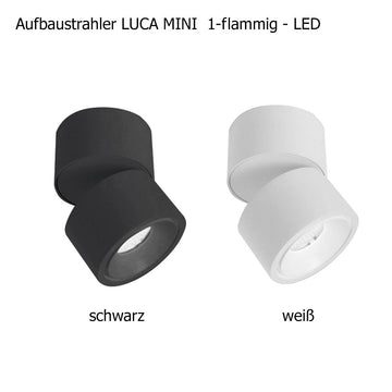 Licht-Kraus