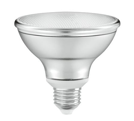 LED bulb E27 PAR30 10W