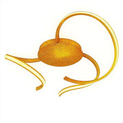LED Deckenleuchte Warmdim Scia, goldene Beleuchtung, modernes Design