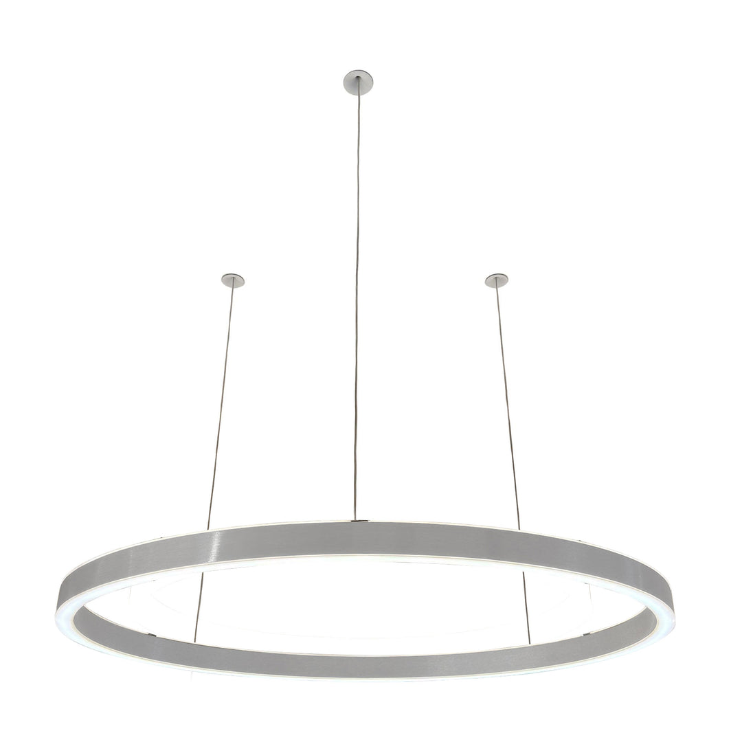 Loop pendant light 24V