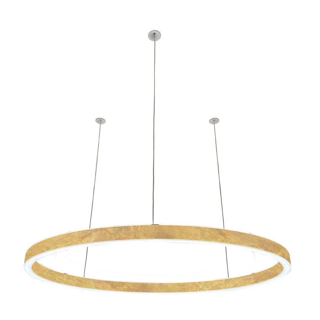 Loop pendant light 24V
