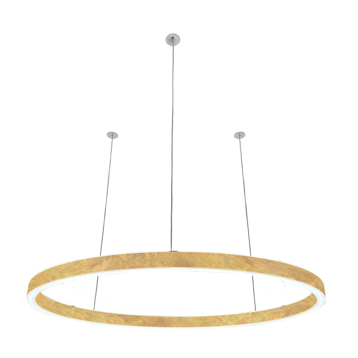 Loop pendant light 24V