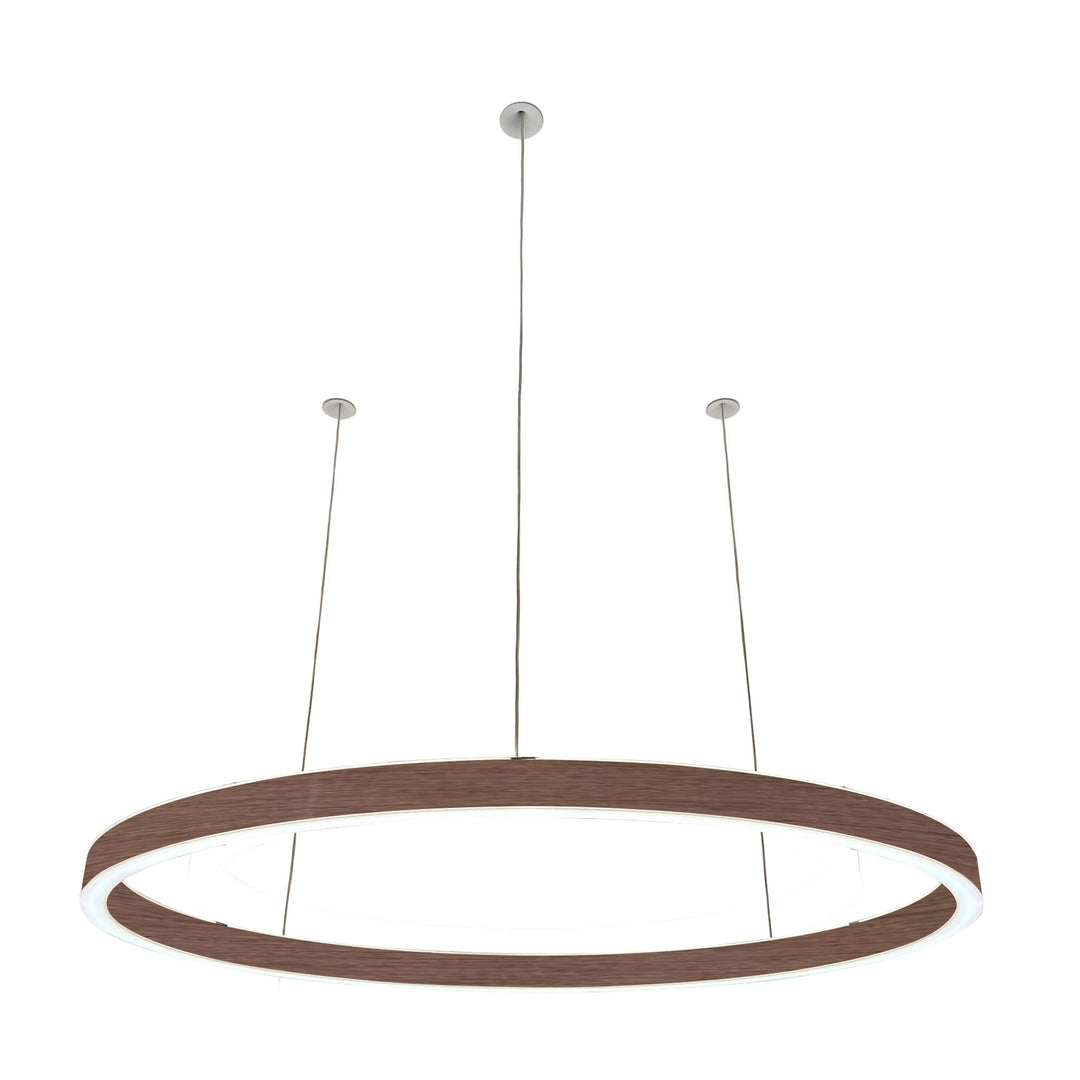 Loop pendant light 24V