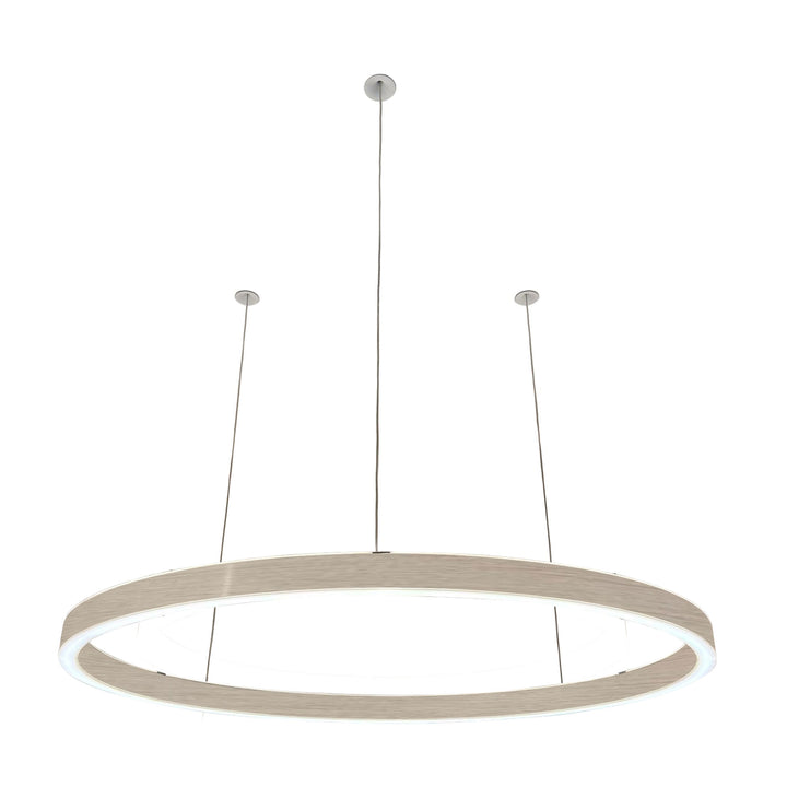 Loop pendant light 24V