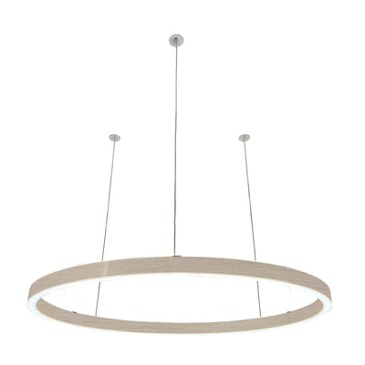 Pendelleuchte Loop 24V