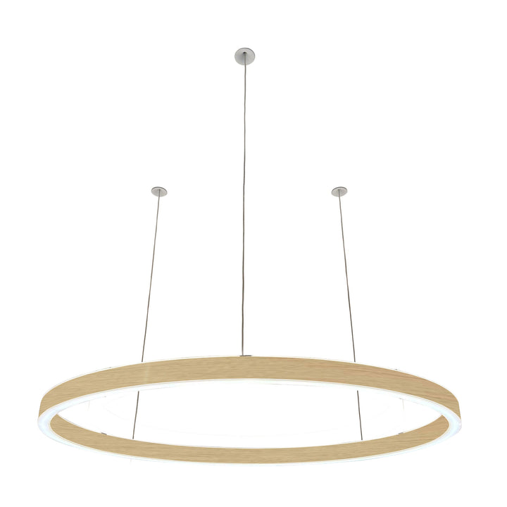 Loop pendant light 24V