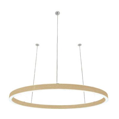 Pendelleuchte Loop 24V