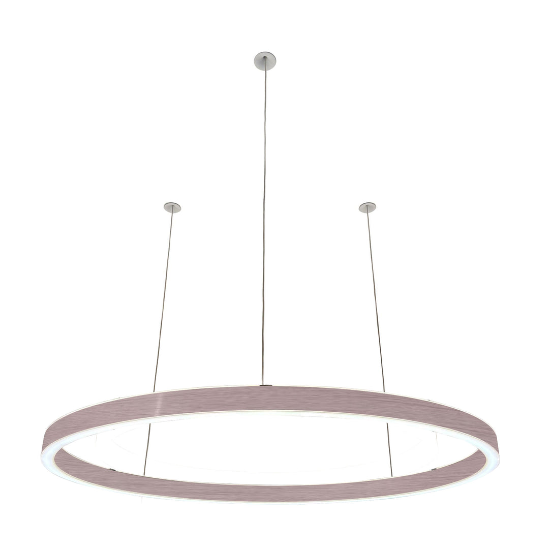 Loop pendant light 24V