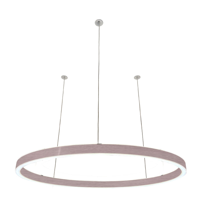 Loop pendant light 24V
