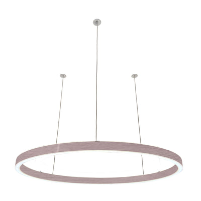 Pendelleuchte Loop 24V