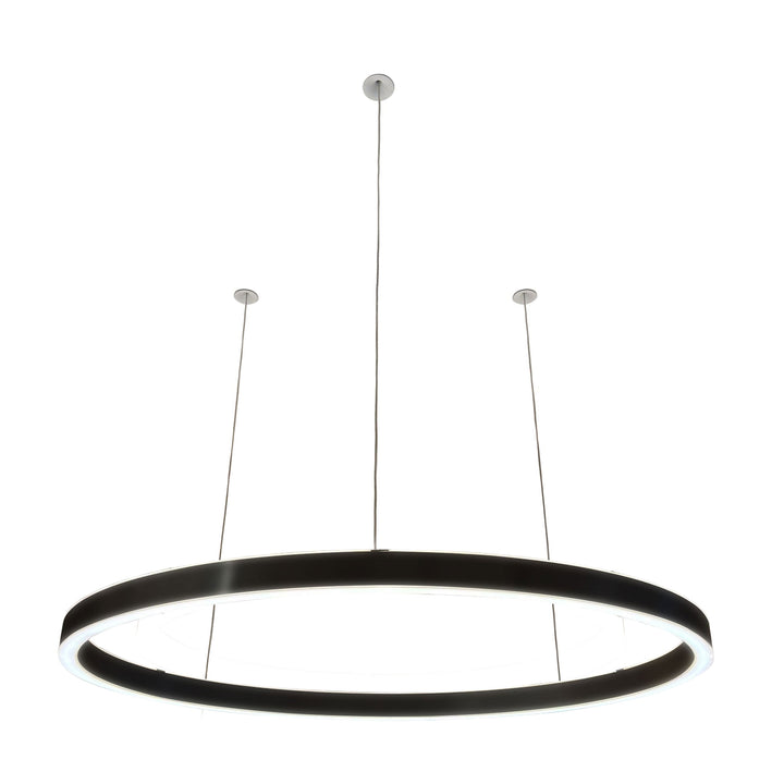 Loop pendant light 24V