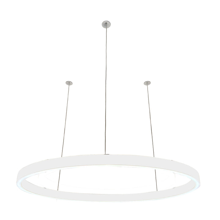 Loop pendant light 24V