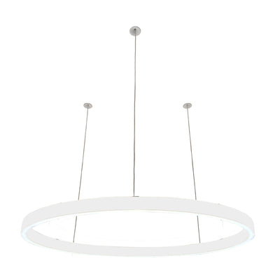 Pendelleuchte Loop 24V
