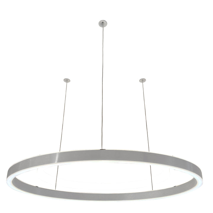 Loop pendant light 24V