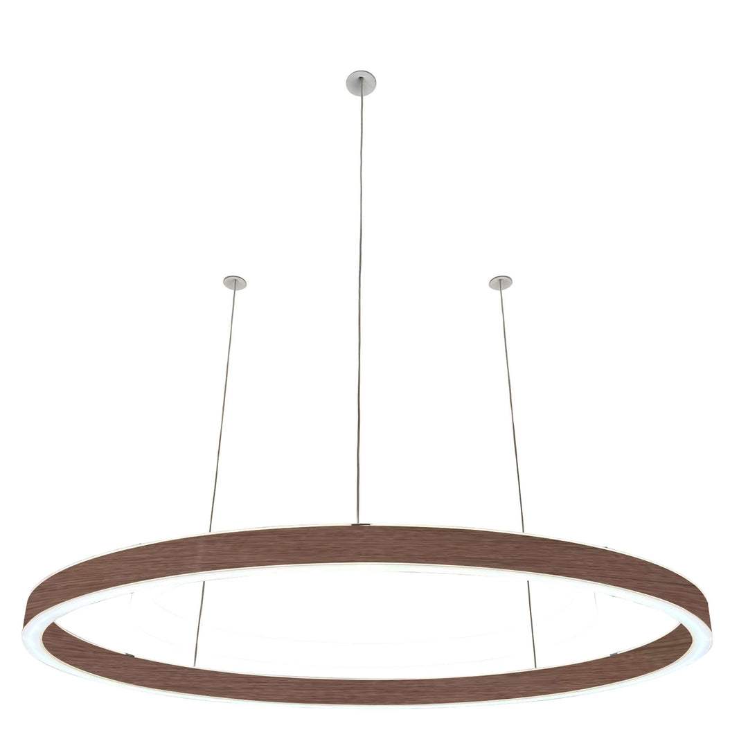 Loop pendant light 24V
