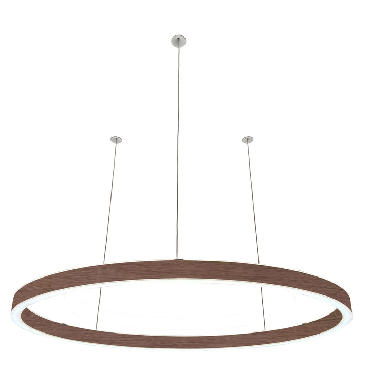 Loop pendant light 24V