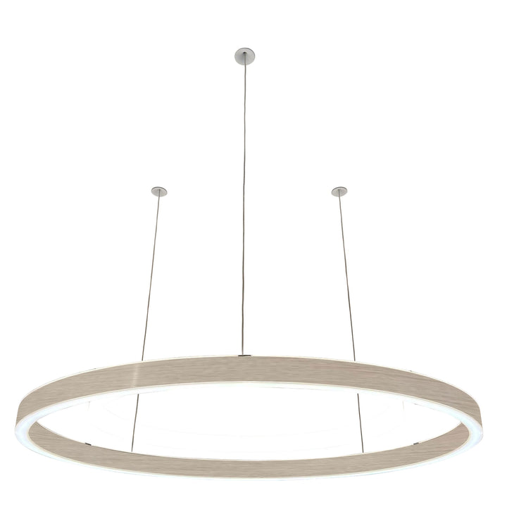 Loop pendant light 24V