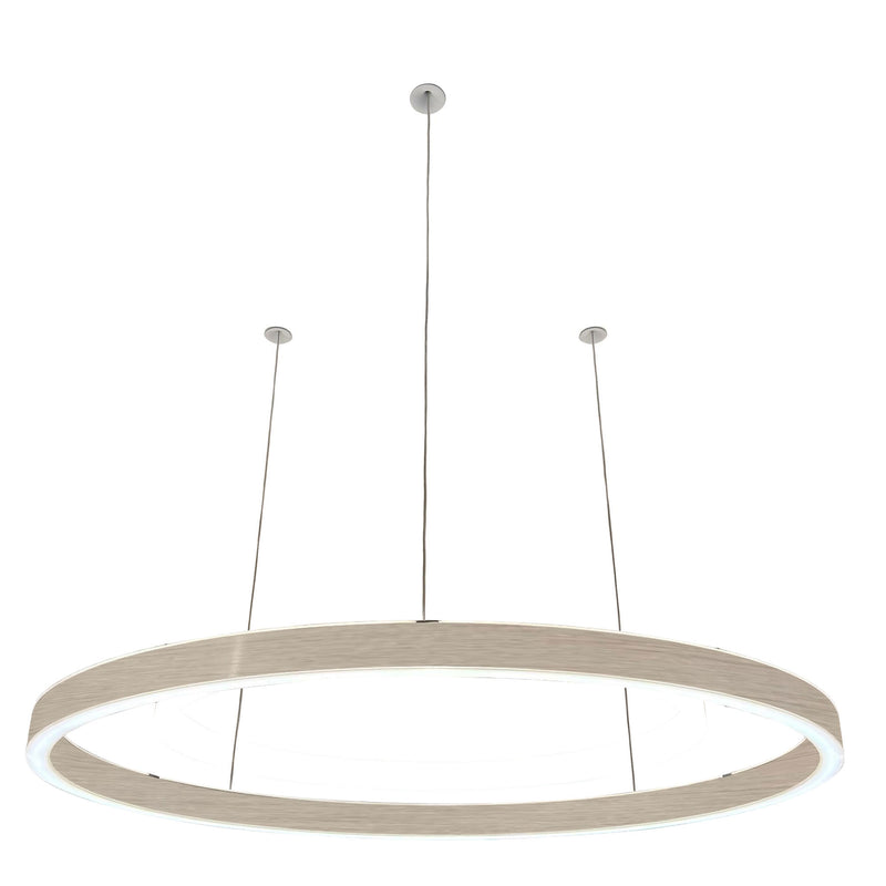 Pendelleuchte Loop 24V