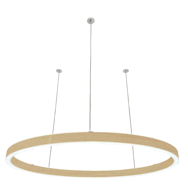 Loop pendant light 24V