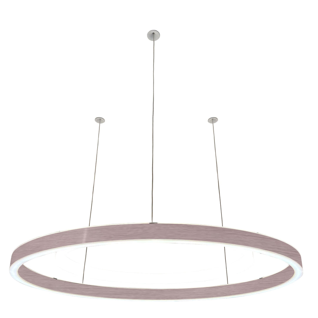 Loop pendant light 24V