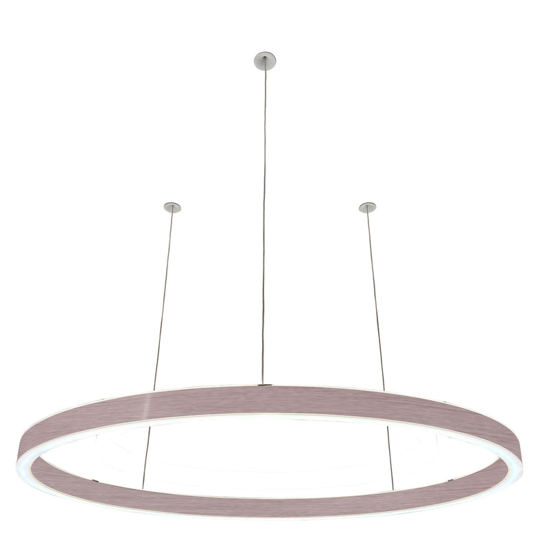Pendelleuchte Loop 24V