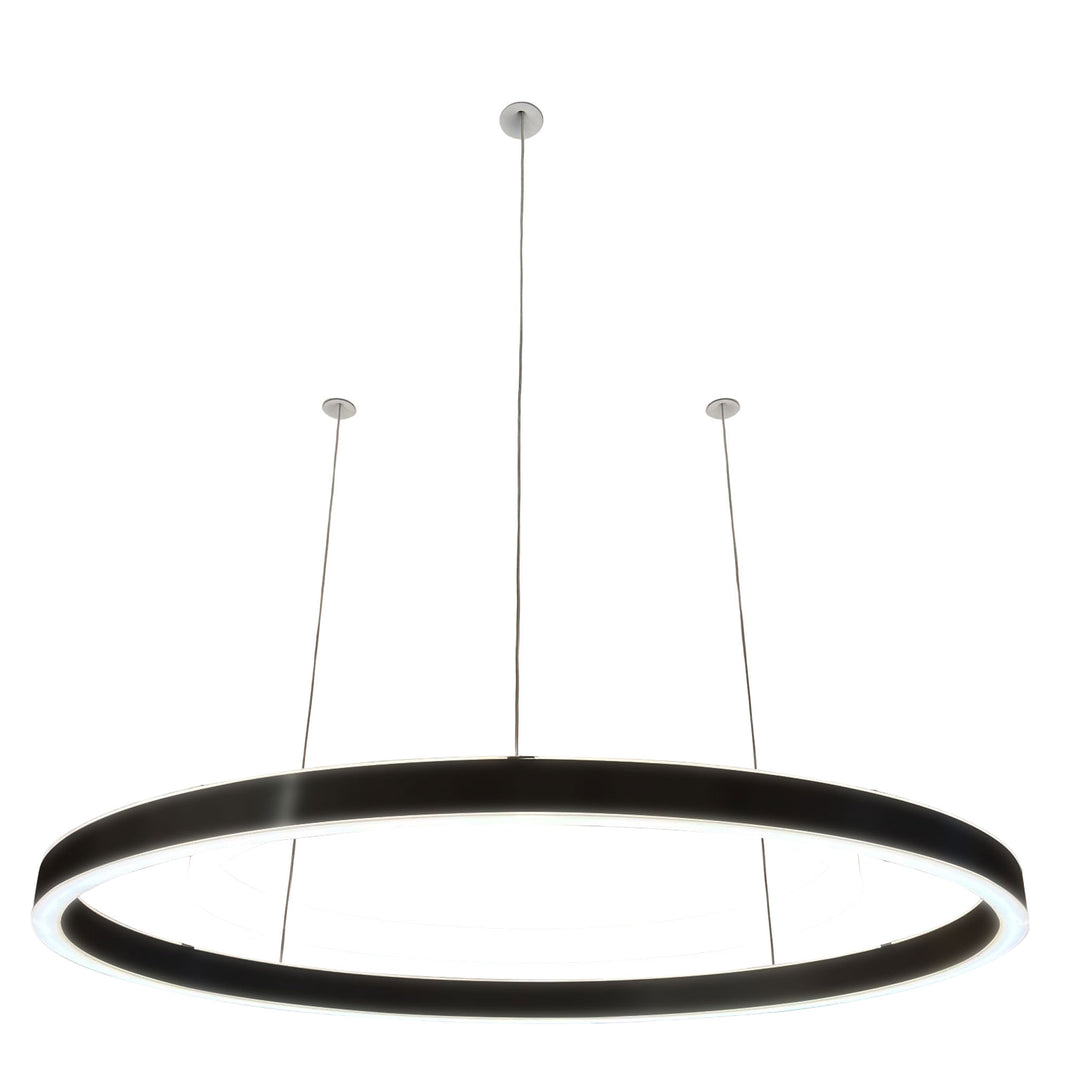 Loop pendant light 24V