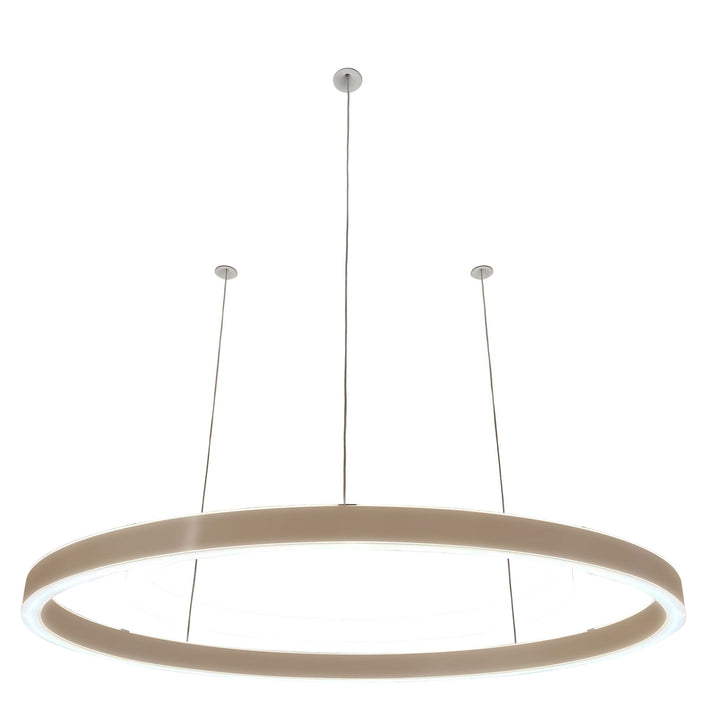 Loop pendant light 24V