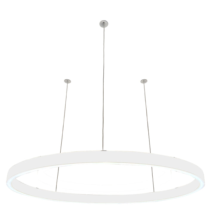 Loop pendant light 24V