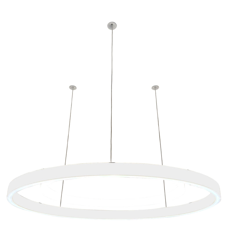 Pendelleuchte Loop 24V