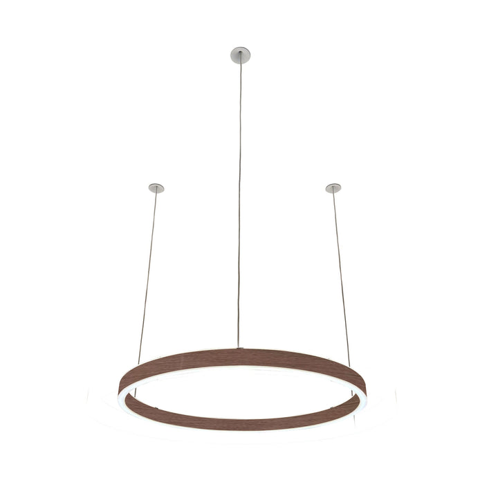Loop pendant light 24V