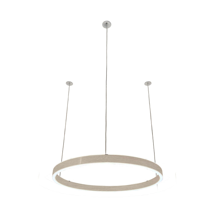 Loop pendant light 24V