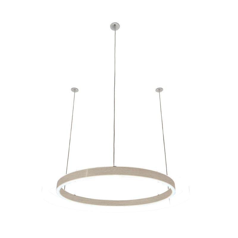 Pendelleuchte Loop 24V