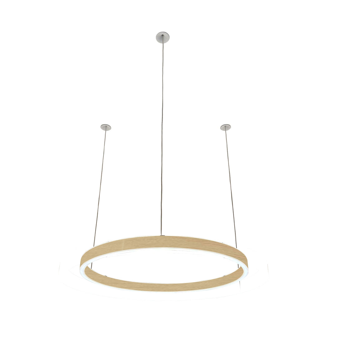 Loop pendant light 24V
