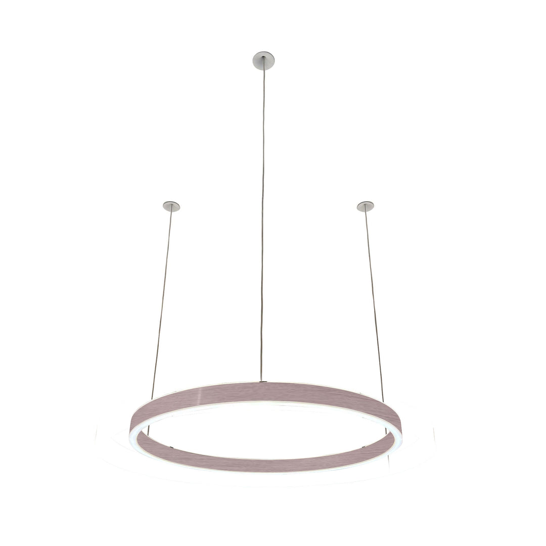 Loop pendant light 24V