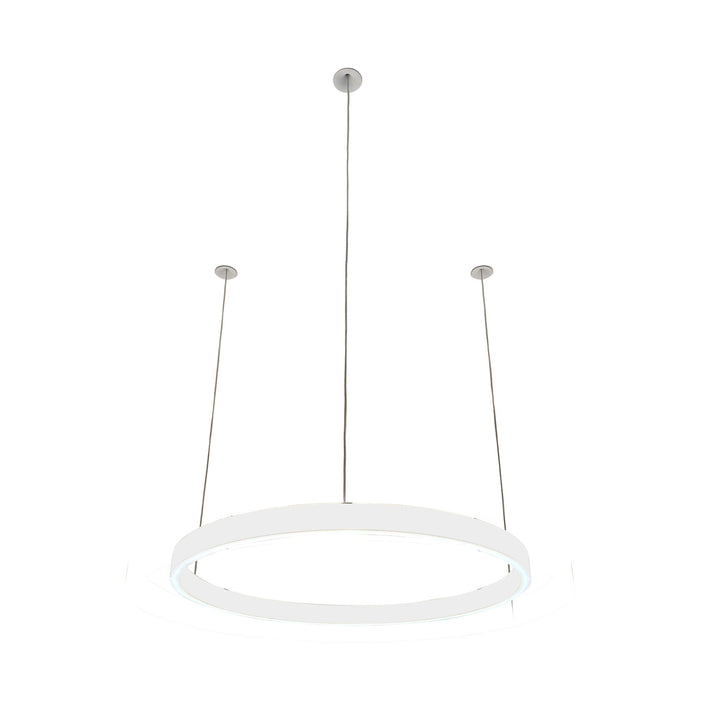 Loop pendant light 24V